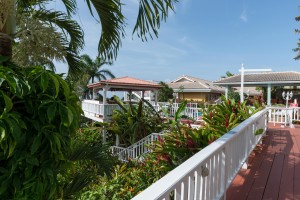 lush tropical gardens at St. Peter's Greathouse in St. Thomas